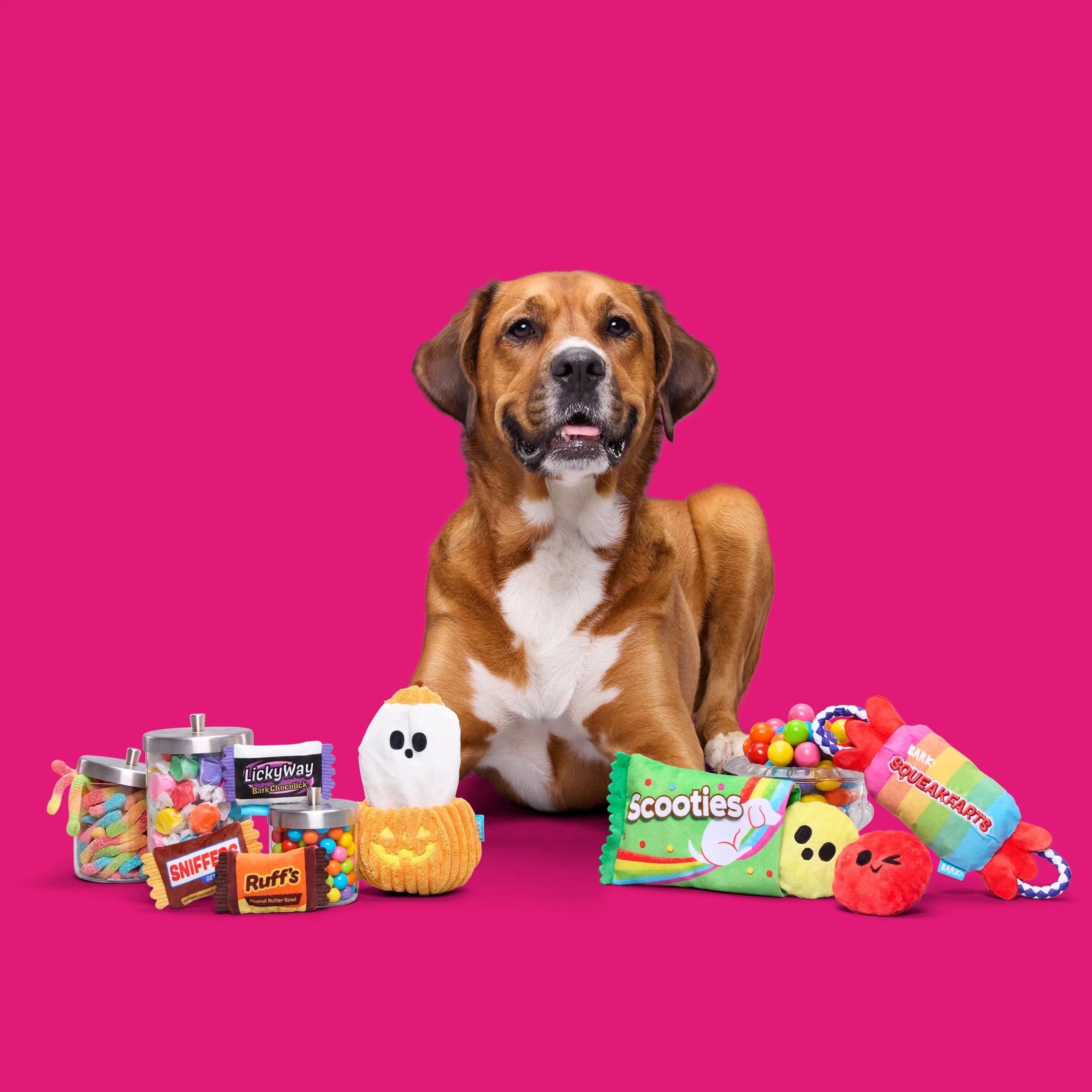 Eek-A-Boo Pumpkin Plush Dog Toy, Multicolor, for Dogs of All Sizes