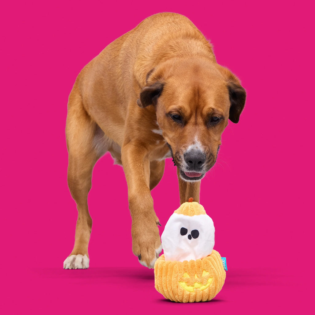 Eek-A-Boo Pumpkin Plush Dog Toy, Multicolor, for Dogs of All Sizes