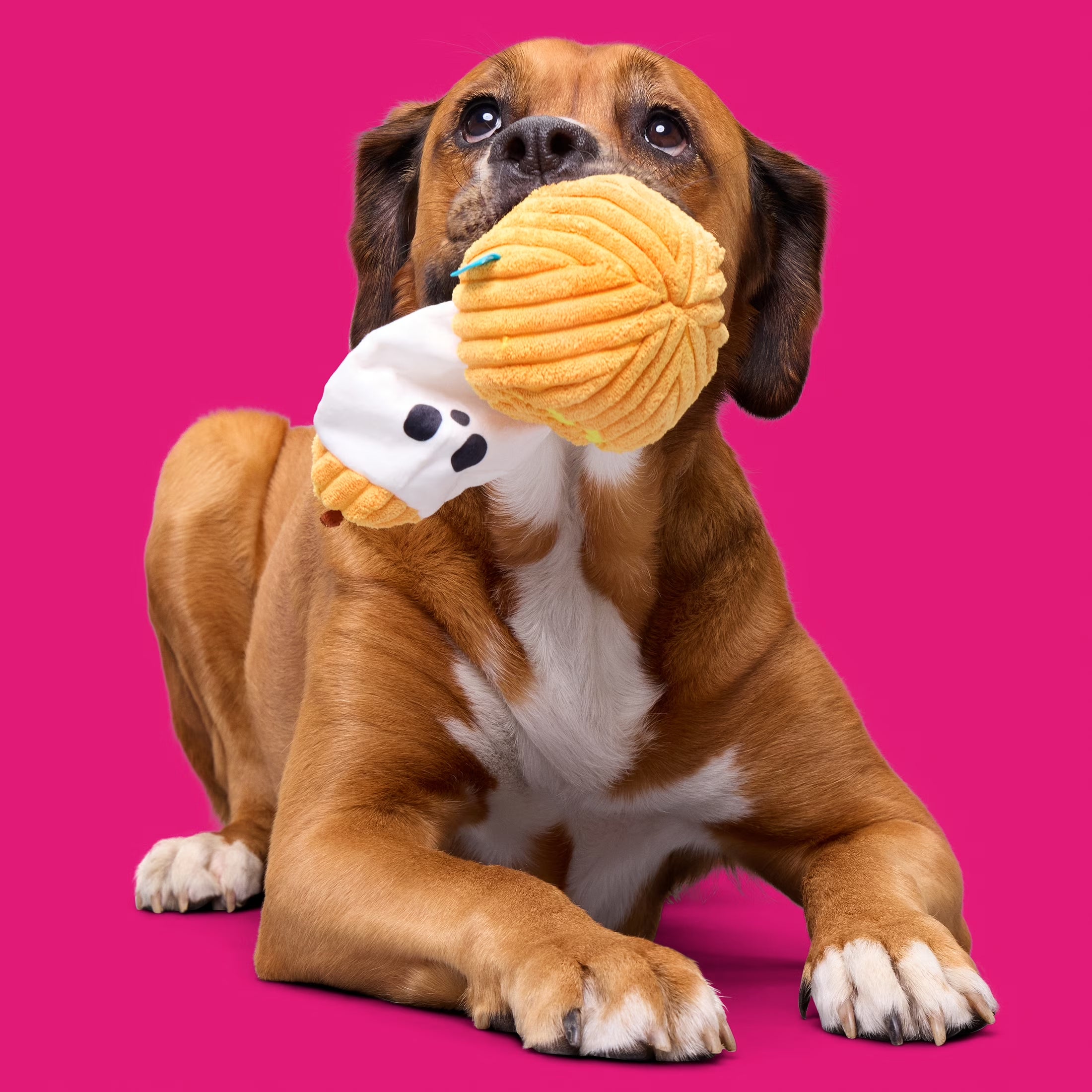 Eek-A-Boo Pumpkin Plush Dog Toy, Multicolor, for Dogs of All Sizes
