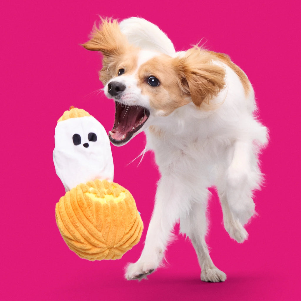 Eek-A-Boo Pumpkin Plush Dog Toy, Multicolor, for Dogs of All Sizes