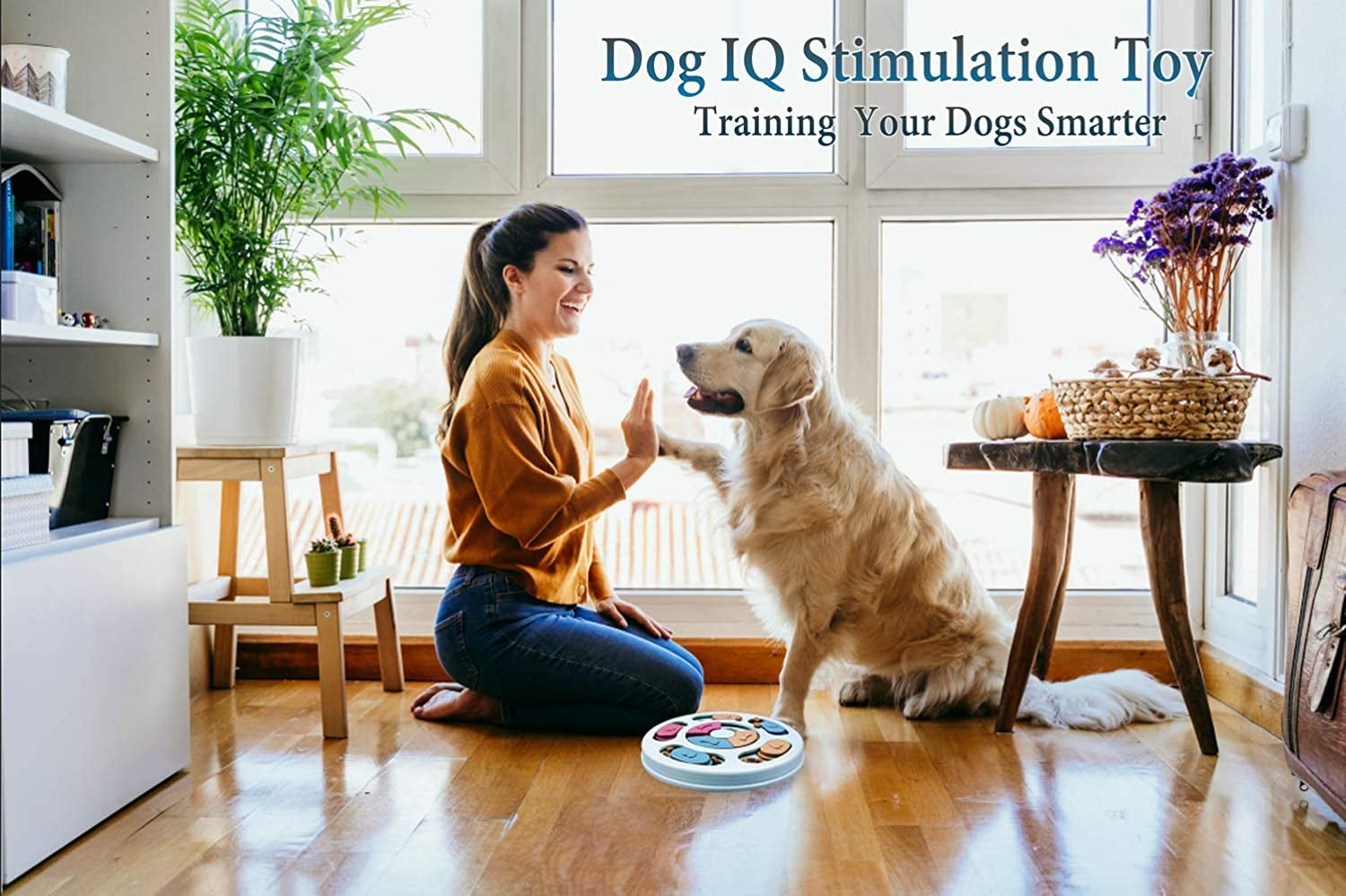     Interactive Enrichment Puzzle for Dogs
